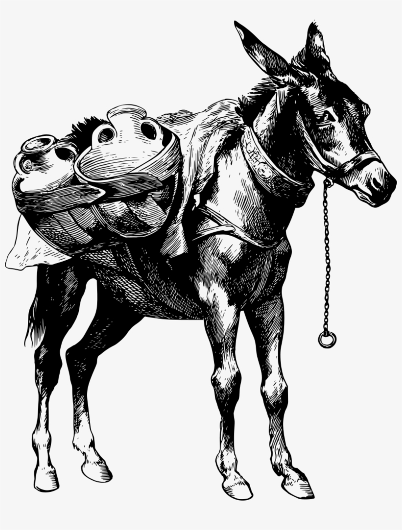 Laden Donkey, transparent png download