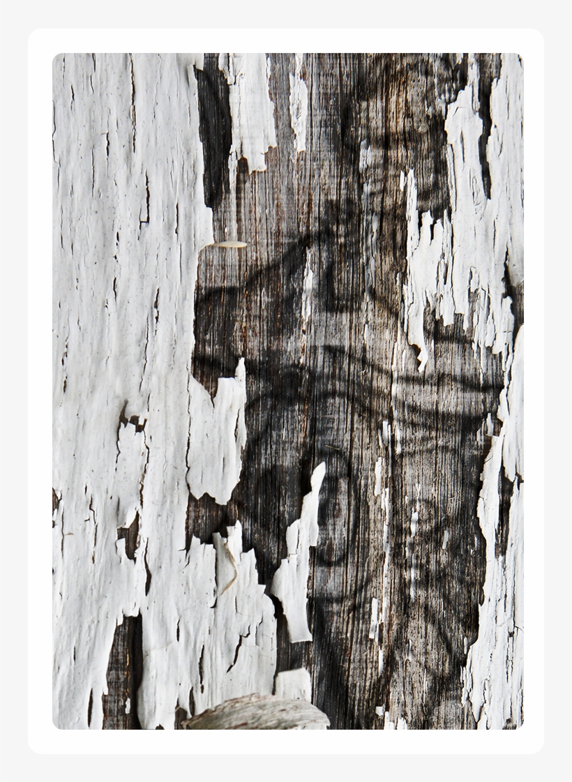Wood Tome 1 - Visual Arts, transparent png download