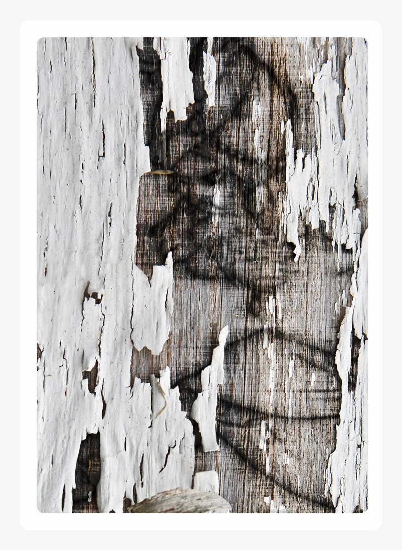 Wood Tome 2 - Visual Arts, transparent png download