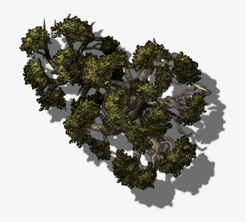 Svcfe Trees 8 - Tree, transparent png download