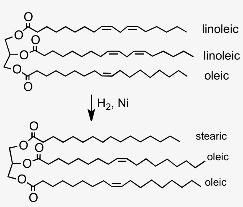 File - H2formargerin - Hydrogenation Of Fatty Acids Reaction, transparent png download