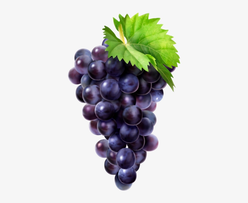 Grape - Grapes Png, transparent png download