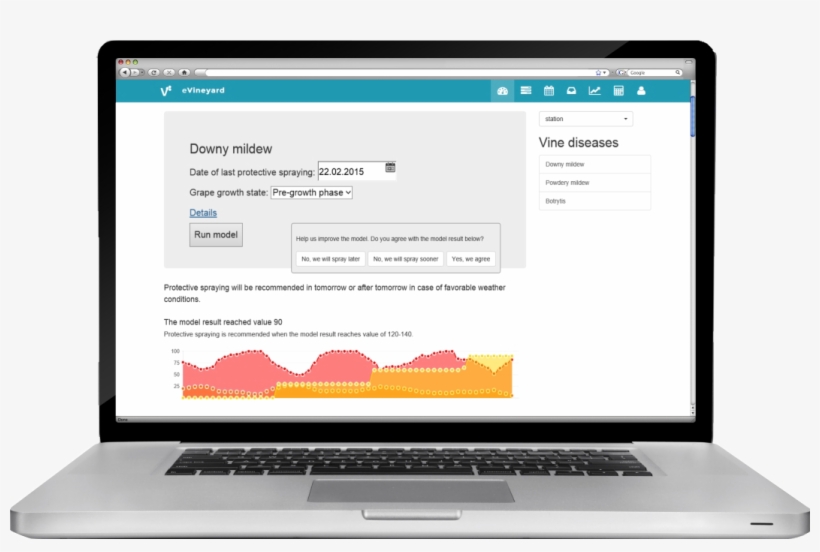 Now That You Know More About Grapevine Pests And Ways - Netbook, transparent png download