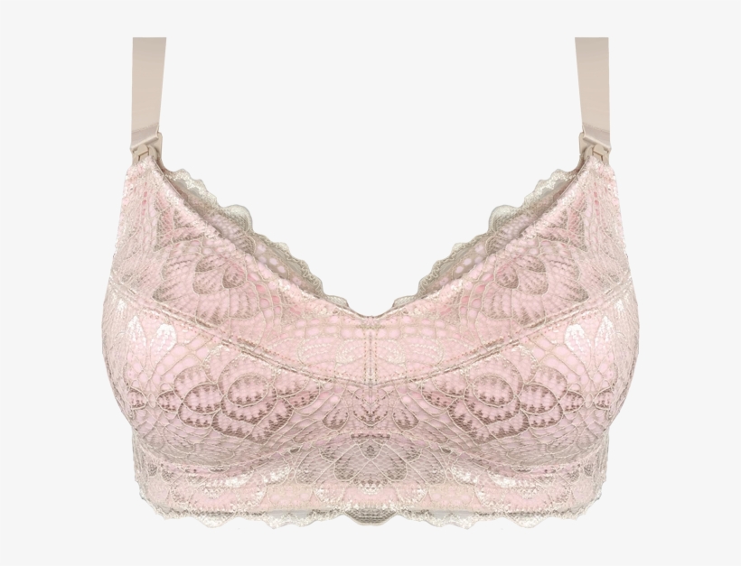 Bra Almond & Blush Thong Set Seta08 2109thong - Lace, transparent png download