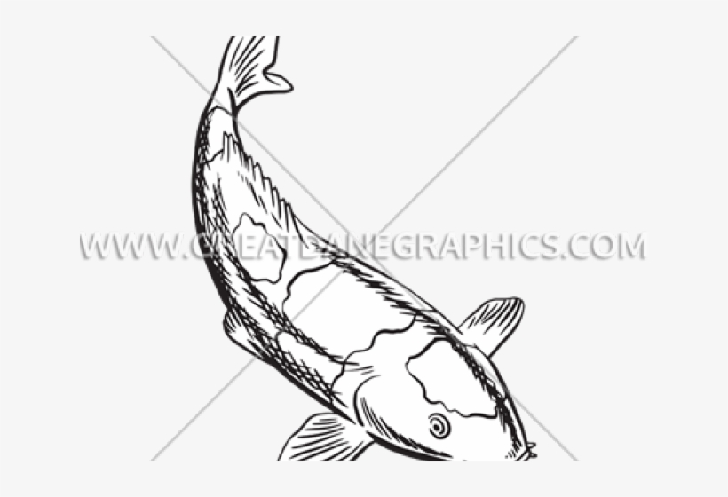 Tipos De Articulaciones Del Cuerpo, transparent png download