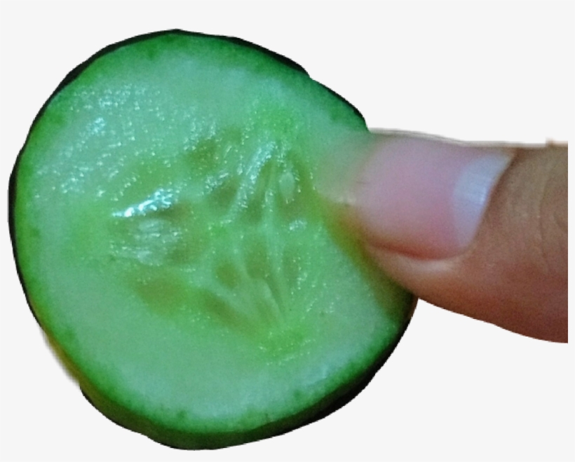 Report Abuse - Macro Photography, transparent png download