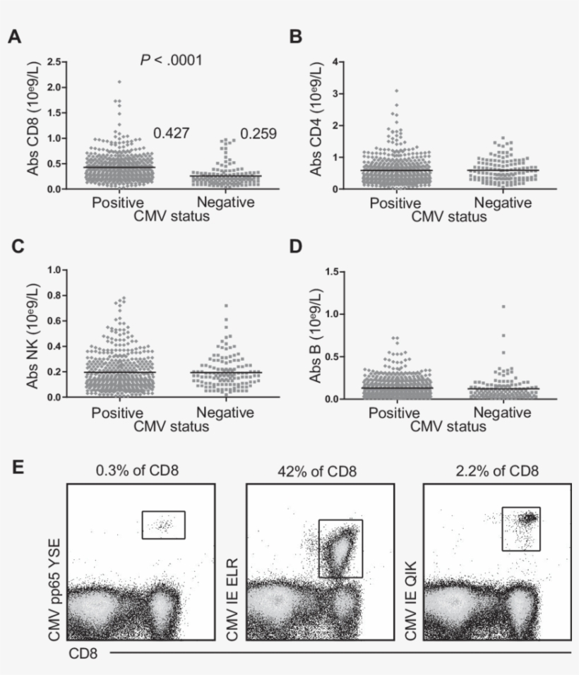 Absolute Number Of Cd8 T Cells, Cd4 T Cells, Nk Cells, - Diagram, transparent png download