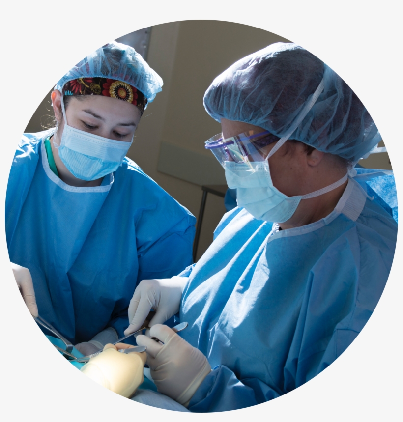 Following These Simple, Straightforward Guidelines - Surgery Png Transparent, transparent png download