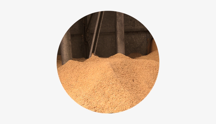 The Analysis Also Covered The Design Of A New Hall - Circle, transparent png download