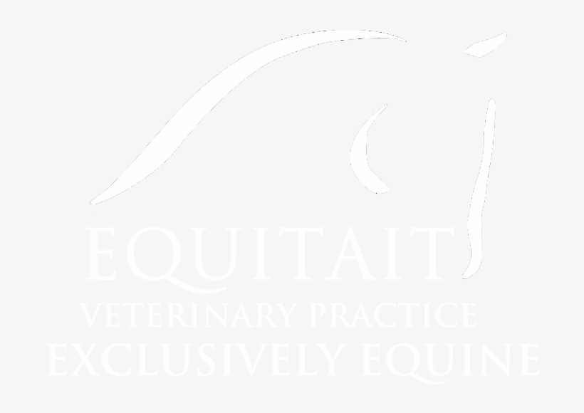Sketch, transparent png download