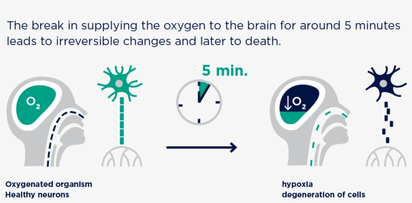 Home Oxygen Therapy Is Used Frequently In Treating - Diagram, transparent png download