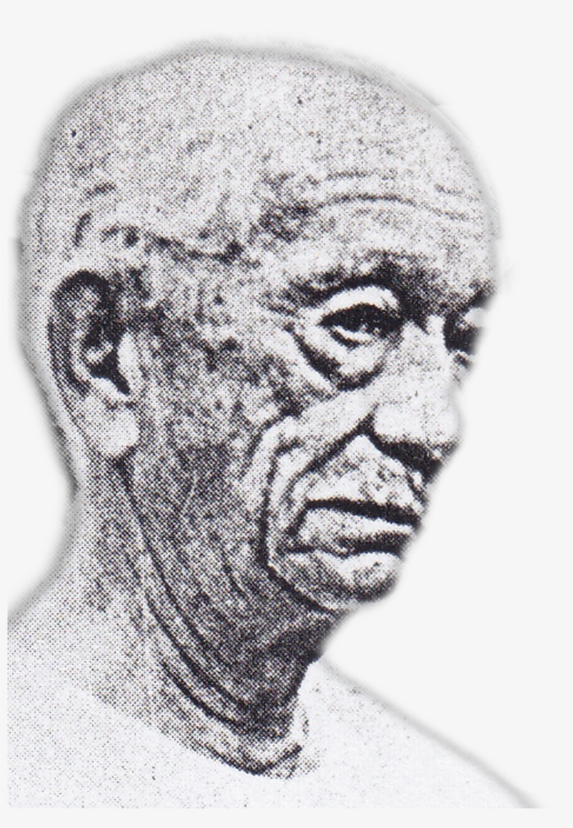 Roces - Sketch, transparent png download