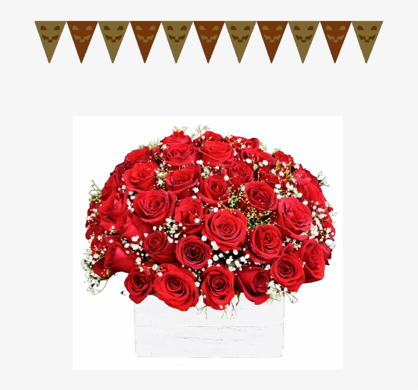50 Rosas Espectaculares - Floreria En Mexico Fiorence, transparent png download