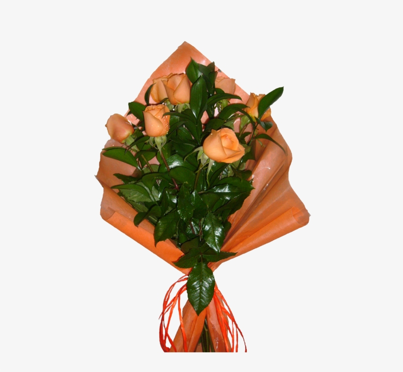 12 Rosas Salmão - Garden Roses, transparent png download