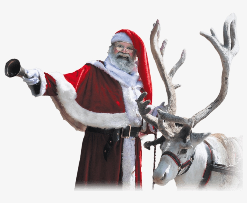 Santa Reindeer Brochure - Santa Claus, transparent png download