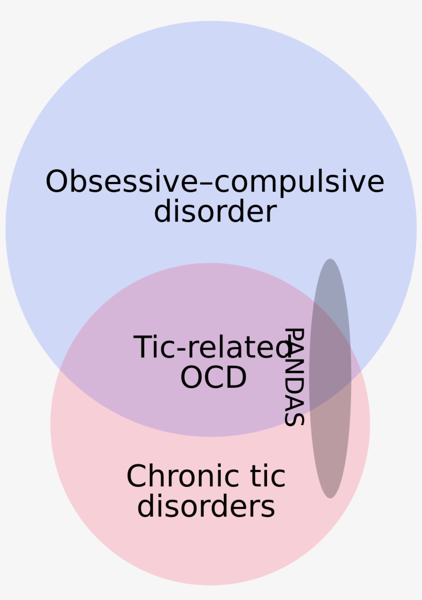 So Let's Turn To Merriam Webster - Circle, transparent png download