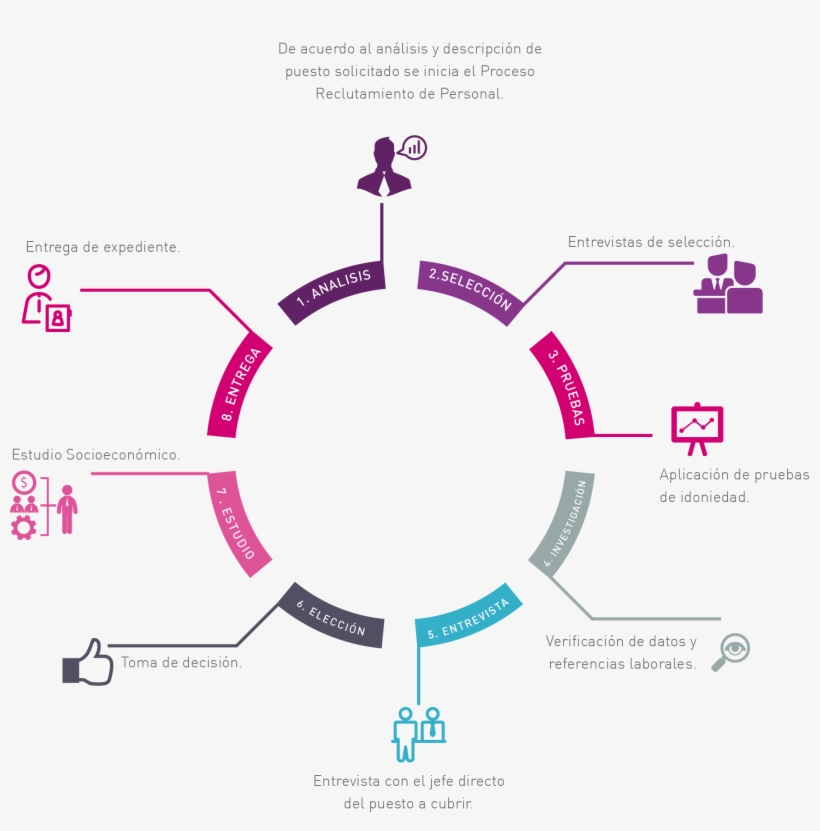 Proceso Circular - Web Designing Packages India, transparent png download