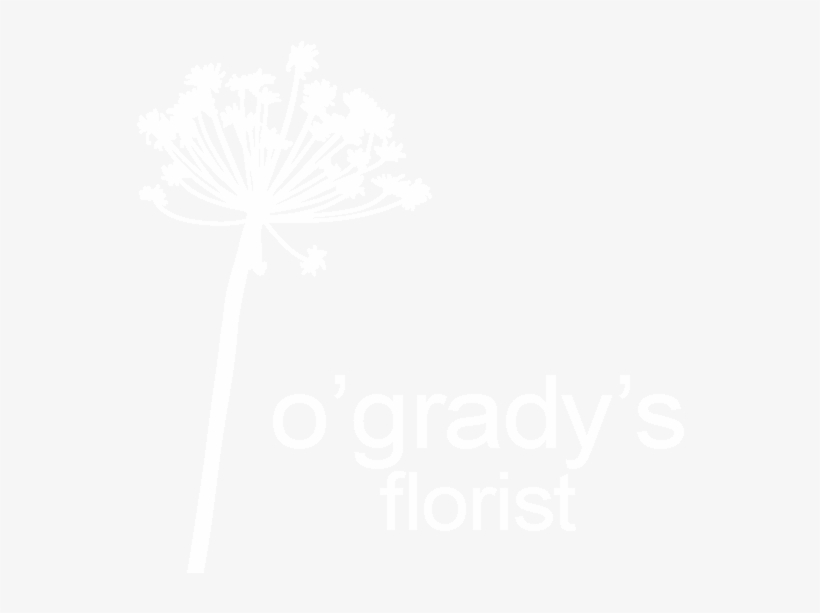 O'grady's Florist Warrnambool - Enrolment - Newcastle College (ncg), transparent png download