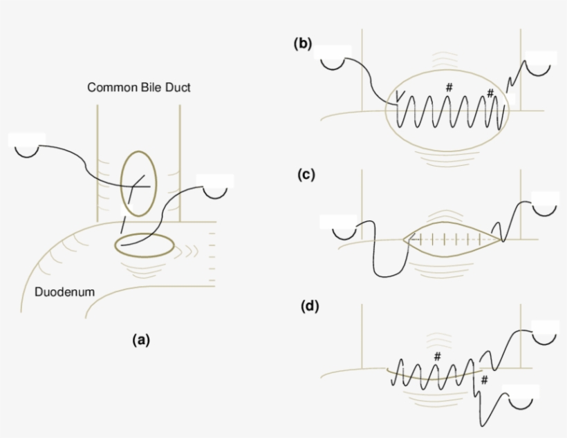 850 X 609 2 - Line Art, transparent png download