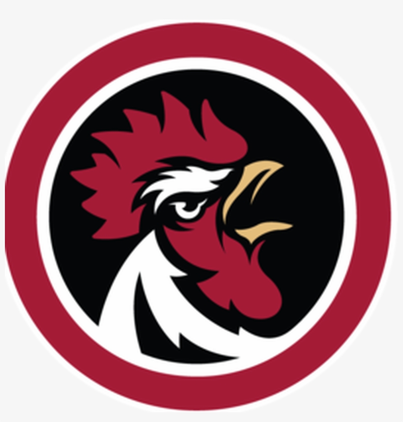 An Interview With Former Gamecock Baseball Player Drew - Sb Nation, transparent png download