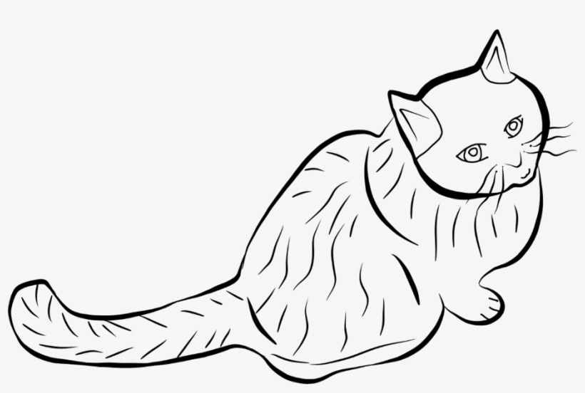 Freetoedit Cat Outline Mydraw Draw Drawing Sketch Mysti - European Shorthair, transparent png download