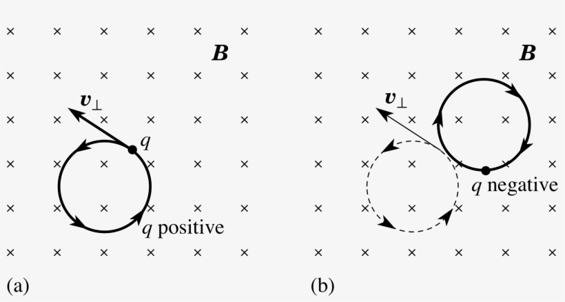 1959 X 953 6 - Circle, transparent png download