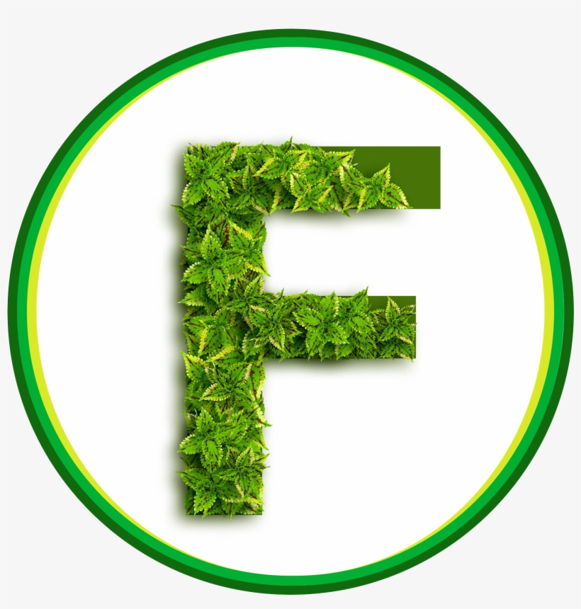 Presentation For The Thesis - Number, transparent png download