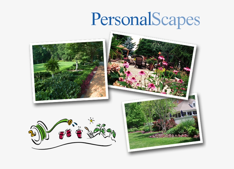 Botanical Garden, transparent png download