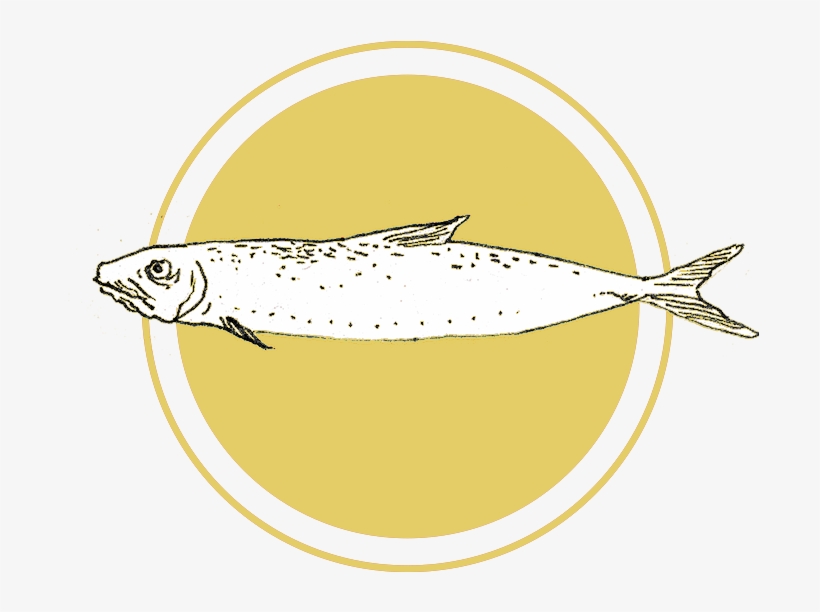 Sardine - Bruins Stanley Cup 2011, transparent png download