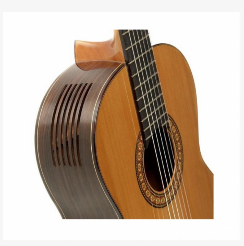Al Hambra Guitar Lr-5 Pepe Toldo - Acoustic Guitar, transparent png download