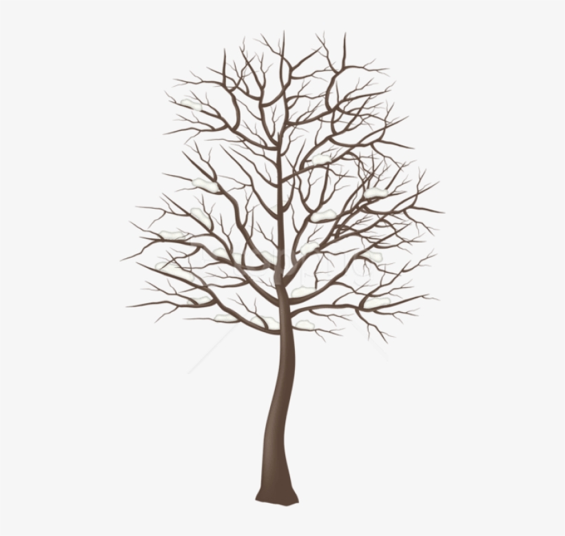 Free Png Winter Snowy Tree Png - Transparent Tree Png Clipart, transparent png download