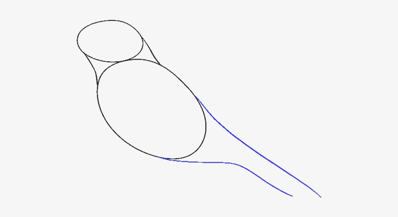 How To Draw Raven - Line Art, transparent png download