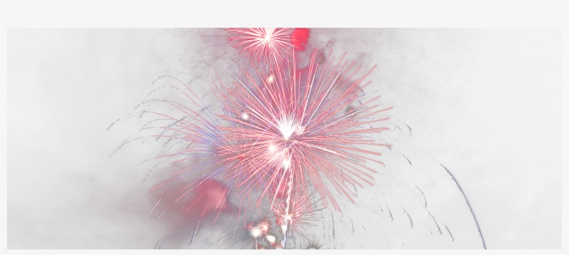 Freebies Fireworks - Mimosa, transparent png download