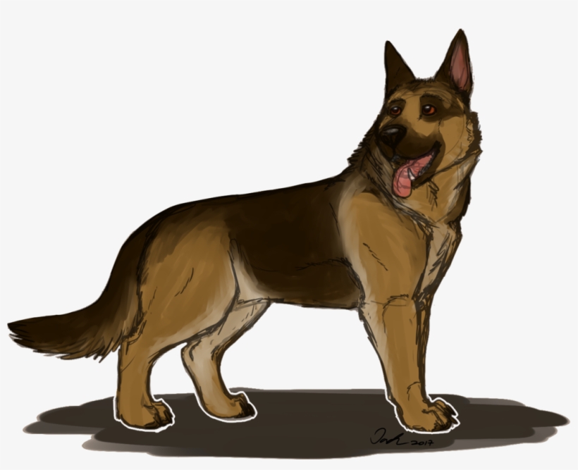 1022 X 782 16 - Dogmeat Fallout 4 Png, transparent png download