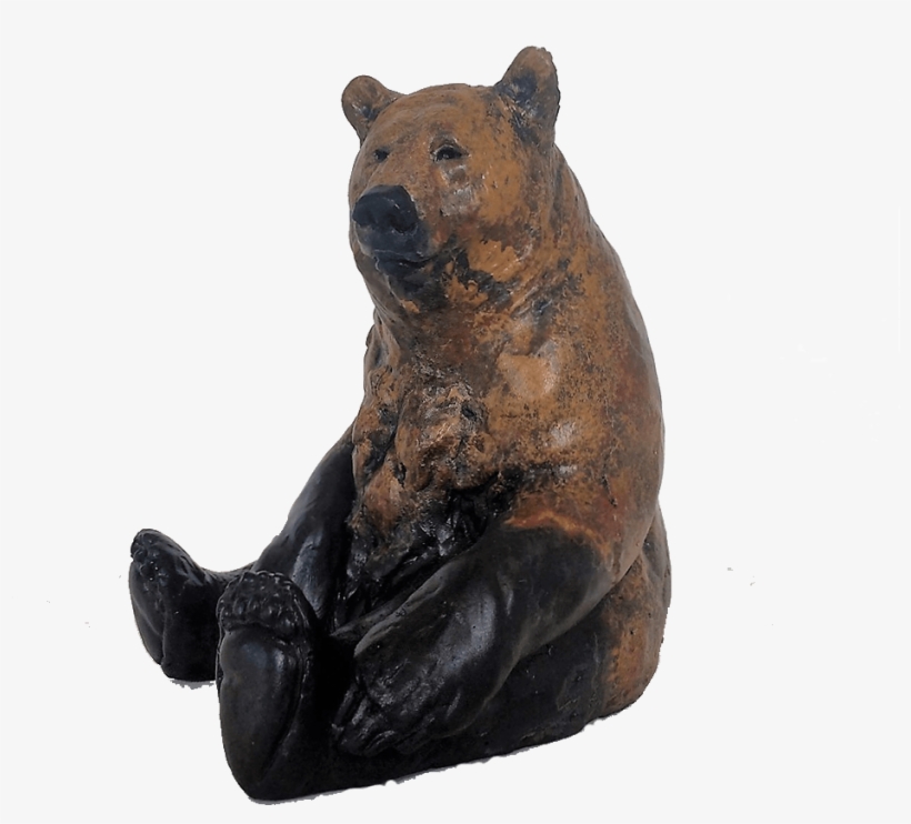 American Black Bear, transparent png download