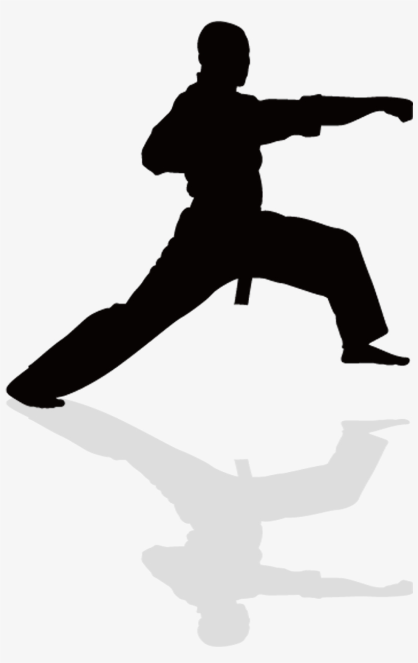 Taekwondo - Silhouette Kung Fu Png, transparent png download