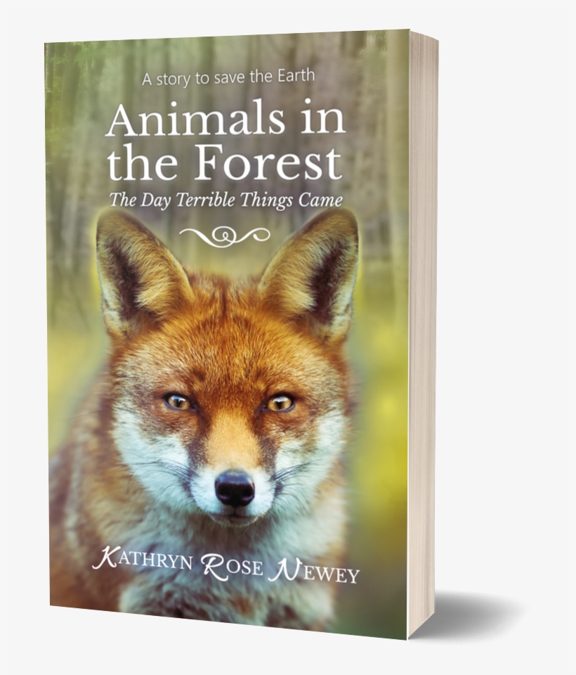 Animals In The Forest - Red Fox, transparent png download