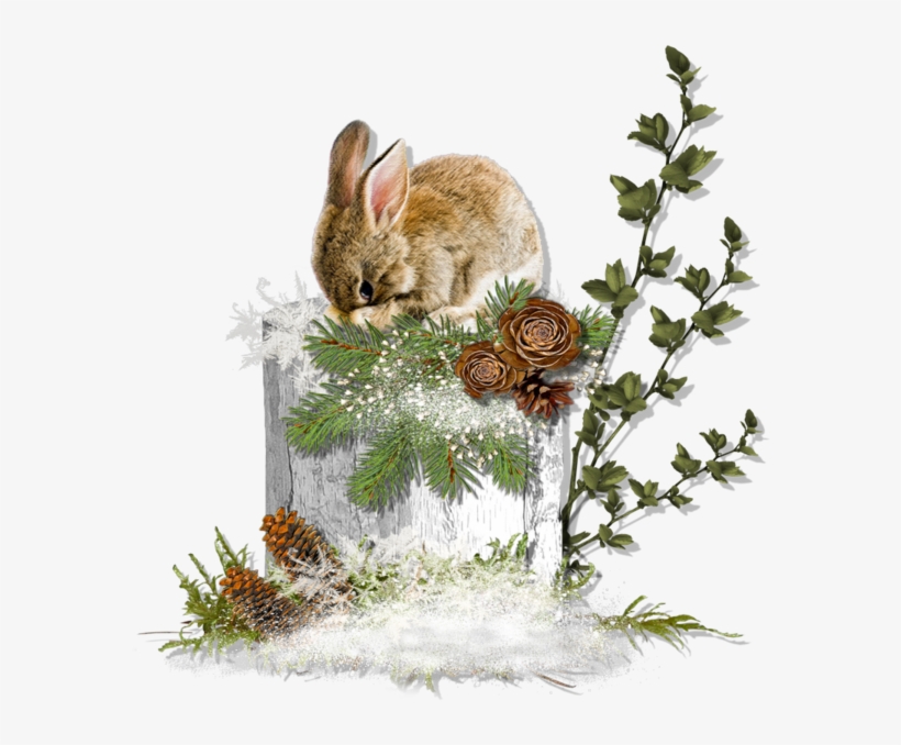 Beatrix Potter, Winter Images, Bunny Rabbit, Forest - Forest Tube Png, transparent png download
