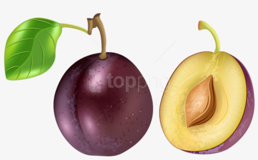 Free Png Plum Transparent Png - Plum Transparent, transparent png download
