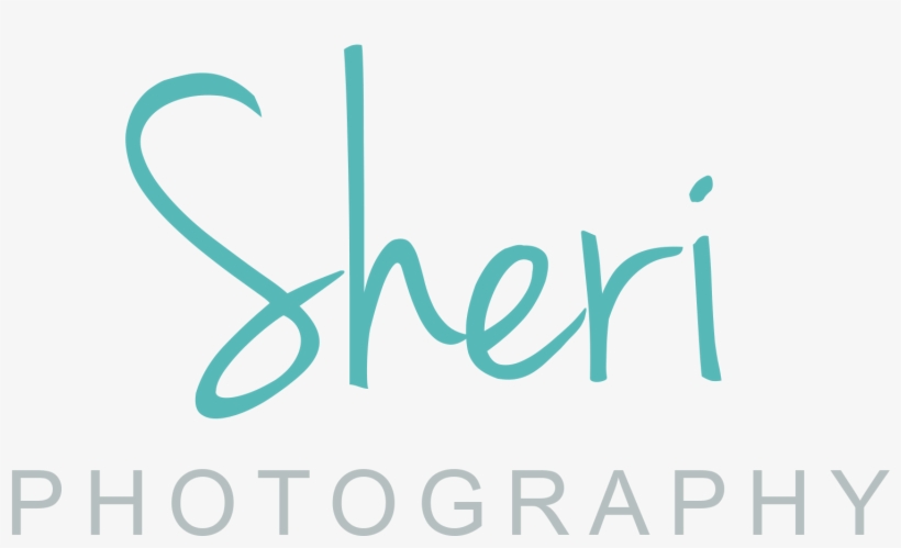 Posted On 28/03/2017 28/03/2017 By Tie The Knot - Atmosphere Kanifushi, transparent png download