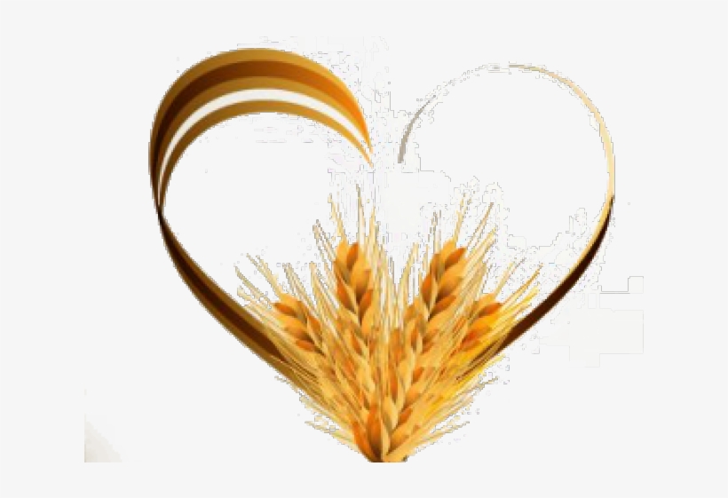 Love Psd Vector, transparent png download