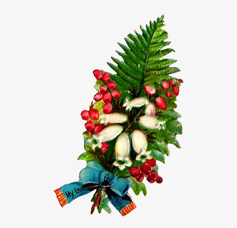I Created This Digital Flower Clip Art From A Little - Christmas Tree, transparent png download