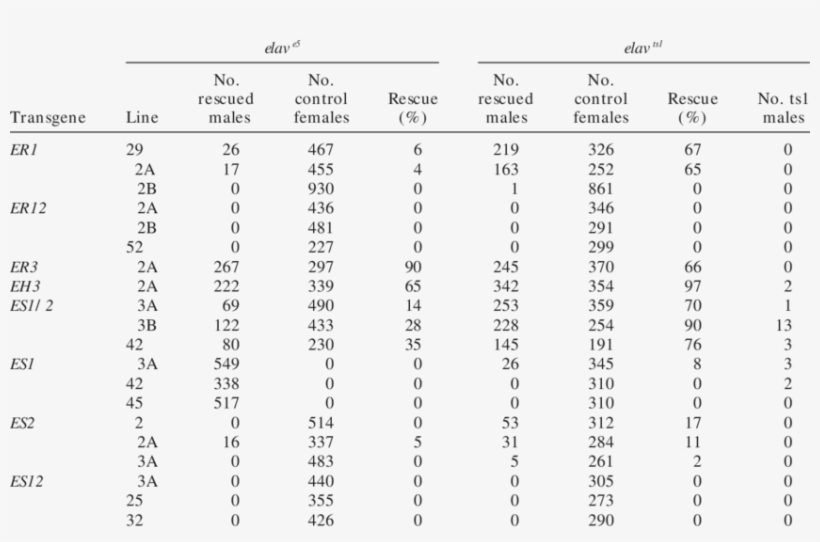 Genetic Complementation Of Elav E5 And Elav Ts1 By - Colour Vision Color Vision Results, transparent png download