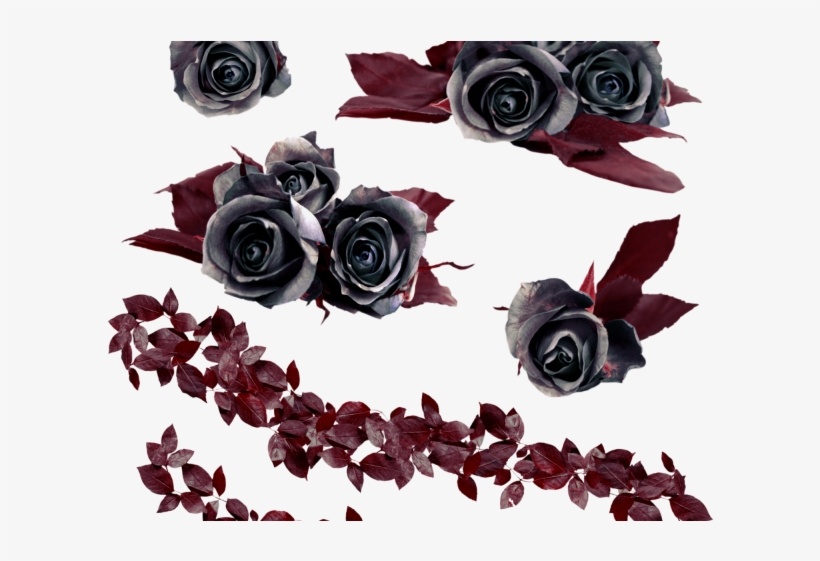 Gothic Clipart Rose Vine - Скачать Цветок Черный Розы, transparent png download