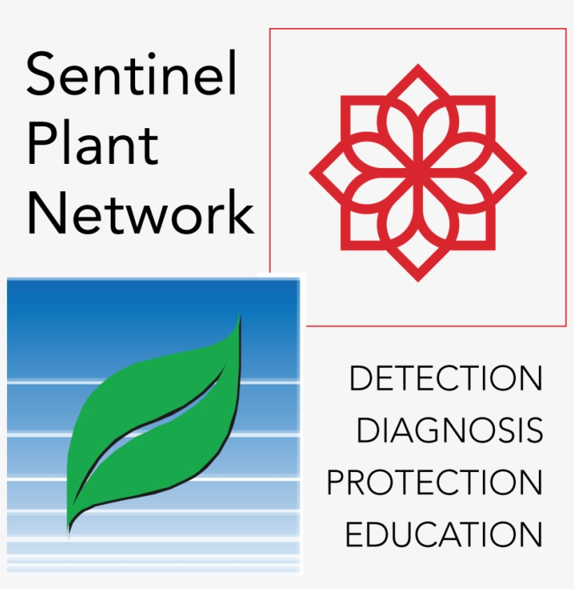 Developed By The National Plant Diagnostic Network - American Public Gardens Association Logo, transparent png download