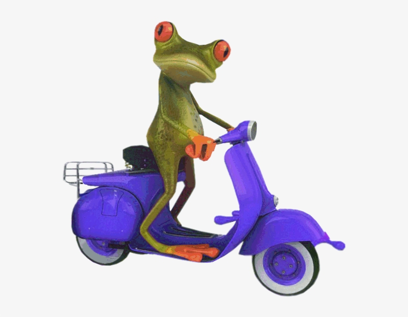 Blue Scooter Frog - Frog On Scooter Png, transparent png download