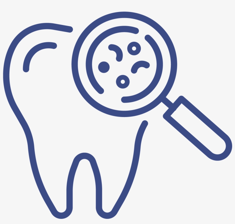 Dental X-rays, transparent png download