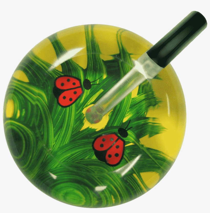 Single Stethoscope - Lady Bugs - Single Stethoscope - Leaf Beetle, transparent png download