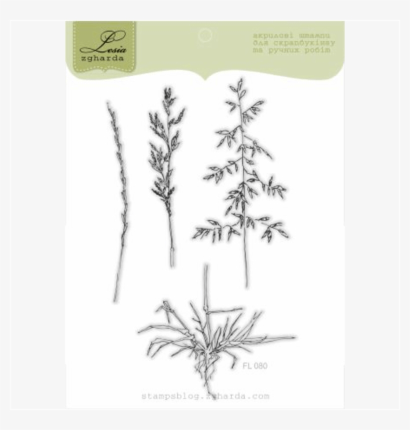 {fl080} Stamp Set "herbs" - Sketch, transparent png download