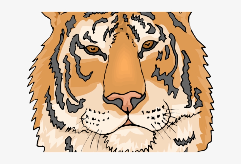 Tiger Clipart Tigre - Coloring Pages Of Tigers, transparent png download